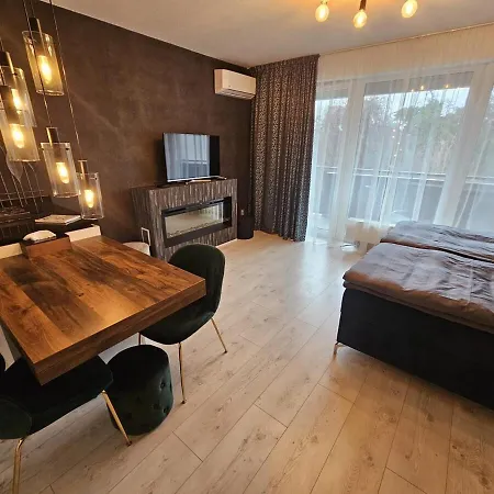 公寓 Moderny 1 Izbovy Apartman V Ruzinove *
